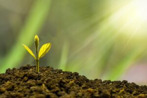 faith articles for strengthen your faith
