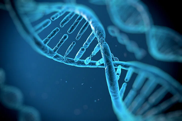 intelligent design by a creator